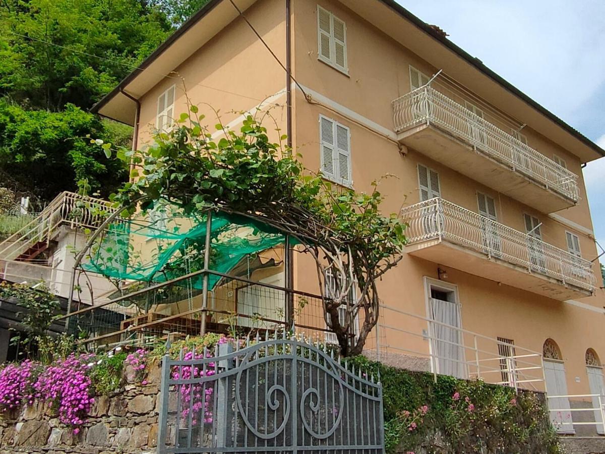 Apartament Ca Di Nonni Chiesanuova  Zewnętrze zdjęcie